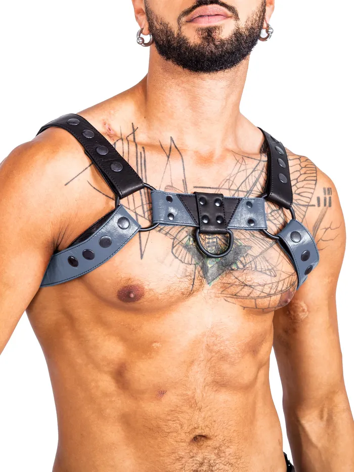 HonourSkintwocom Mens Underwear Bulldog Bondage Harness BlackGreen One Size HonourSkintwocom Mens Underwear Bulldog Bondage Harness BlackGreen One Size