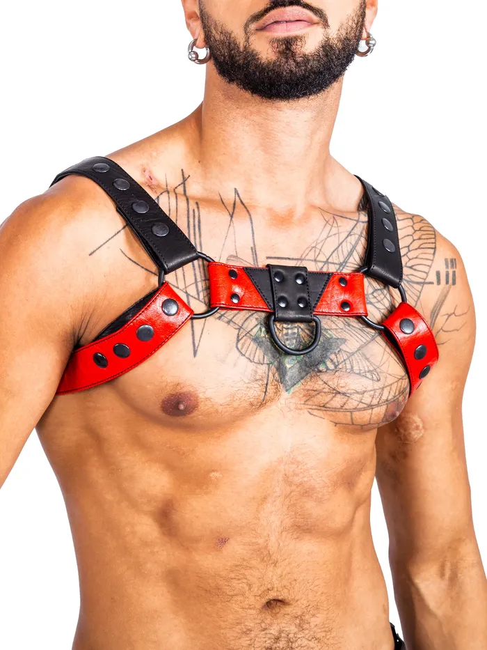 HonourSkintwocom Mens Underwear Bulldog Bondage Harness BlackGreen One Size HonourSkintwocom Mens Underwear Bulldog Bondage Harness BlackGreen One Size
