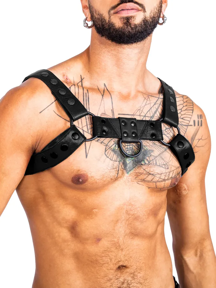 HonourSkintwocom Mens Underwear Bulldog Bondage Harness BlackGreen One Size HonourSkintwocom Mens Underwear Bulldog Bondage Harness BlackGreen One Size