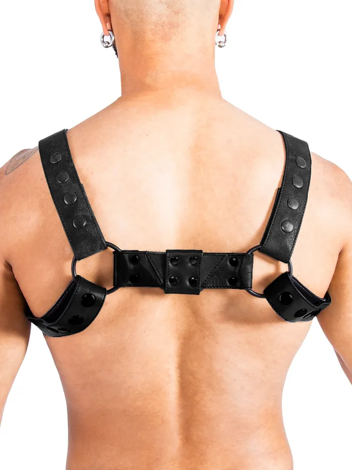 HonourSkintwocom Mens Underwear Bulldog Bondage Harness BlackGreen One Size HonourSkintwocom Mens Underwear Bulldog Bondage Harness BlackGreen One Size