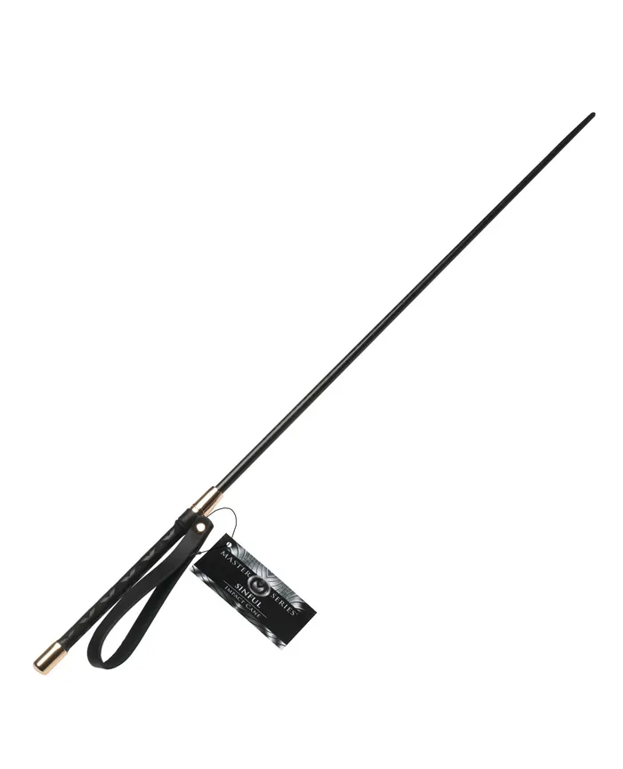 Anal Xr LLC Master Series Sinful Impact Cane BlackGold