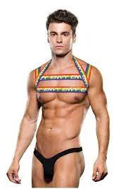 XGEN LLC Female Sex Toys RAINBOW HARNESS SM