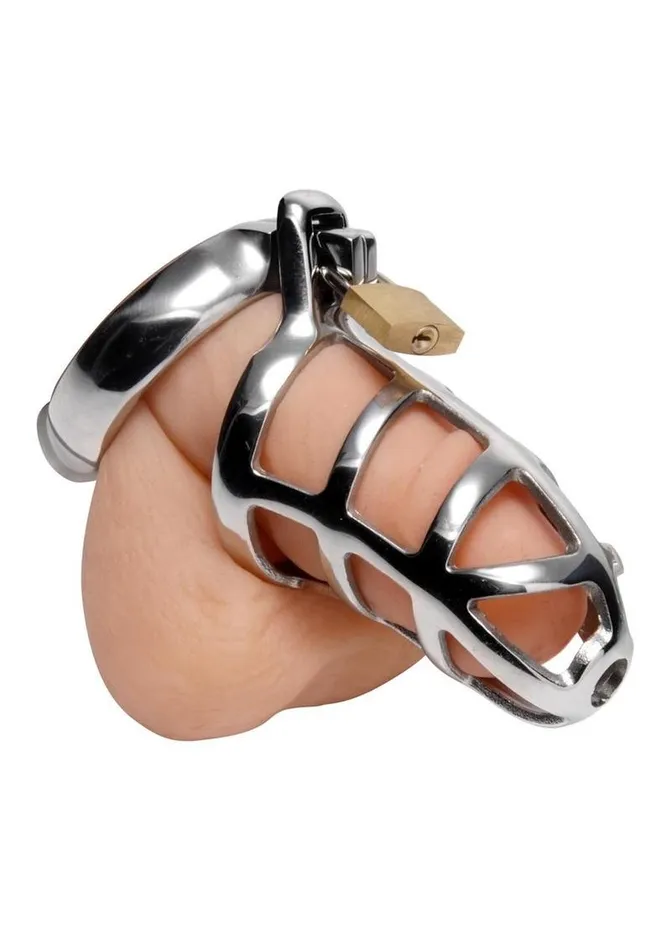 Male Sex Toys Master Series Master Series Detained Stainless Steel Chastity Cage