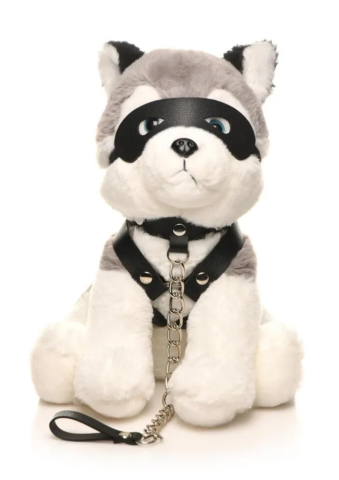 Master Series Female Sex Toys Master Series Max The Fetish Pup