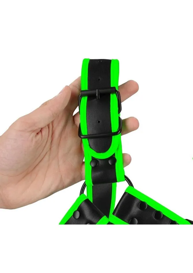 Ouch Buckle Bulldog Harness Ouch Female Sex Toys Ouch Buckle Bulldog Harness Ouch Female Sex Toys