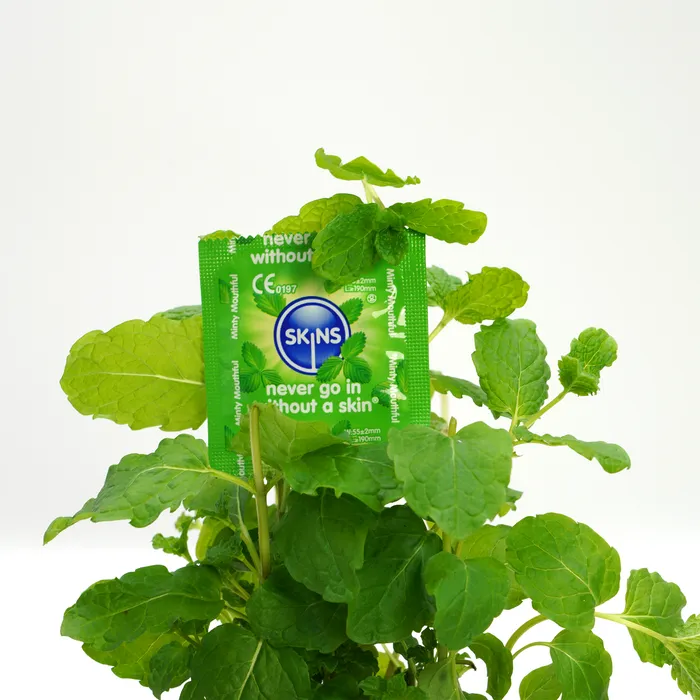 Skins Condoms Mint 12 Pack Skins Female Sex Toys