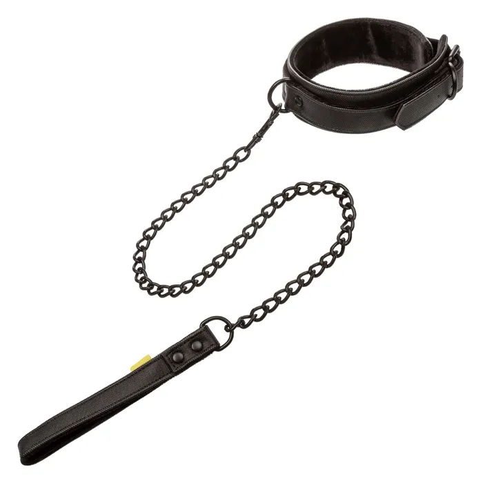 Vibrators CalExotics Boundless Collar Leash