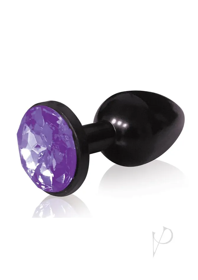 Anal The 9s The 9s The Silver Starter Bejeweled Annodized Stainless Steel Plug Violet