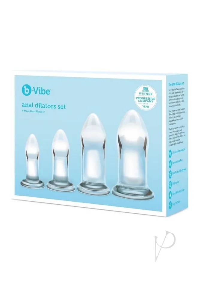 B Vibe Anal BVibes Anal Dilators Glass Plug Set 4 per Set Clear