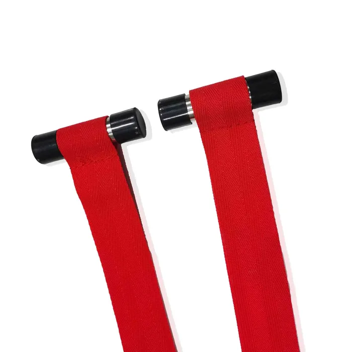 Couples Wild Night Fantasies Bondage Restraint Door Hanging Sex Swing