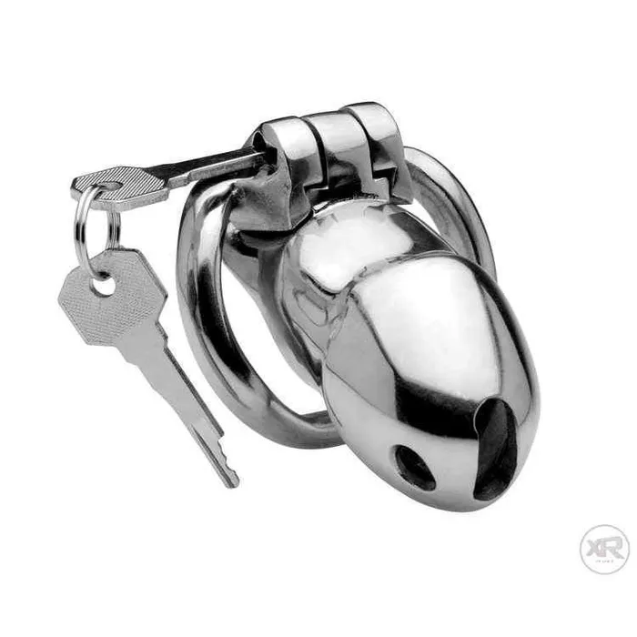Master Series Rikers 247 Stainless Steel Locking Chastity Cage Male Sex Toys