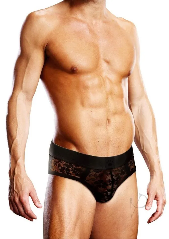 Prowler Anal Prowler Lace Brief XXL Black Prowler Anal Prowler Lace Brief XXL Black