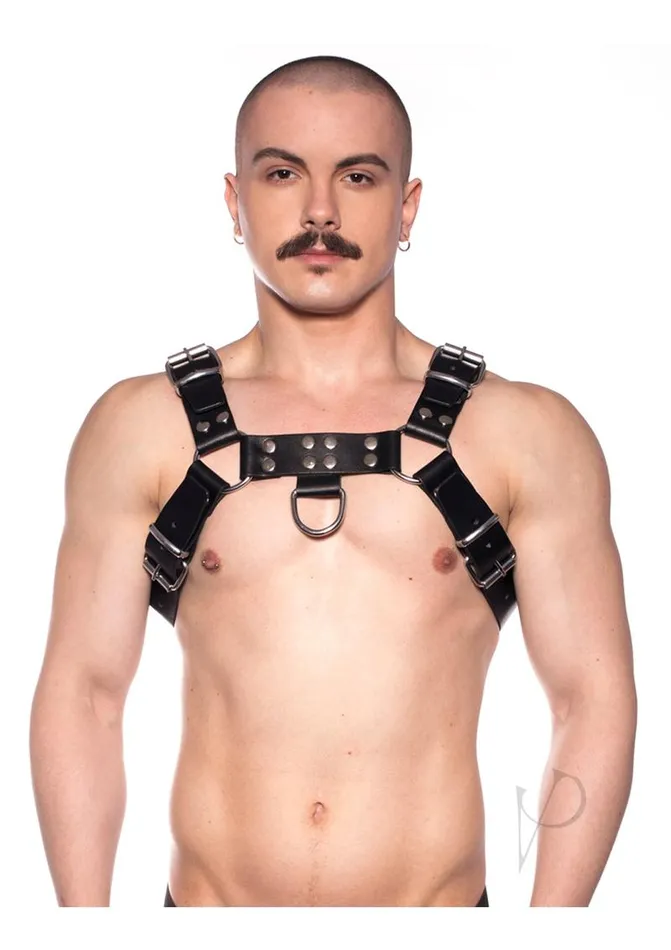 Prowler Red Anal Prowler RED Butch Harness Small BlackSilver