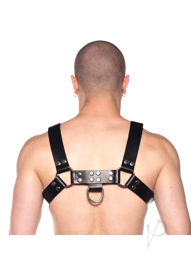 Prowler Red Anal Prowler RED Butch Harness Small BlackSilver