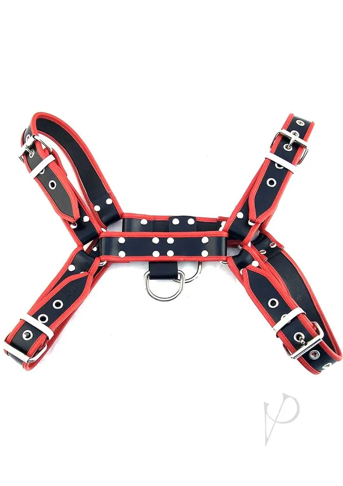 Restraints Rouge Rouge OTH Adjustable Leather Front Harness XLarge BlackRed Restraints Rouge Rouge OTH Adjustable Leather Front Harness XLarge BlackRed