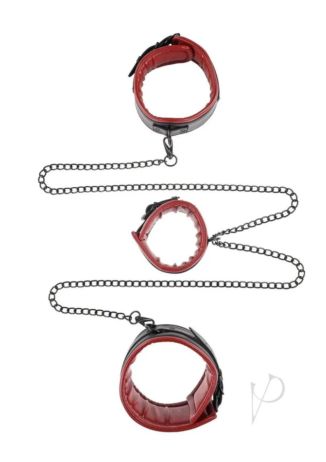 Saffron Anal Saffron Chained and Tamed RedBlack