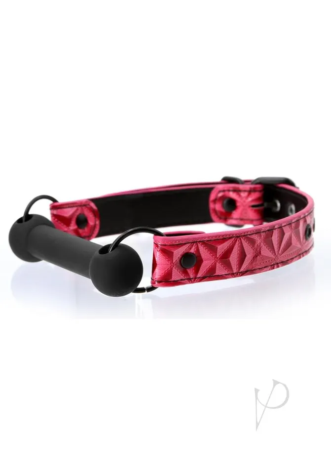 Sinful Silicone Bar Gag Pink Sinful By Ns Novelties Vibrators