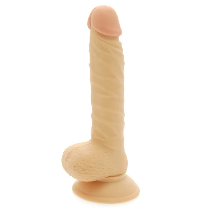 Dildos NMC Ltd 8 Inch Realistic Dong with Scrotum