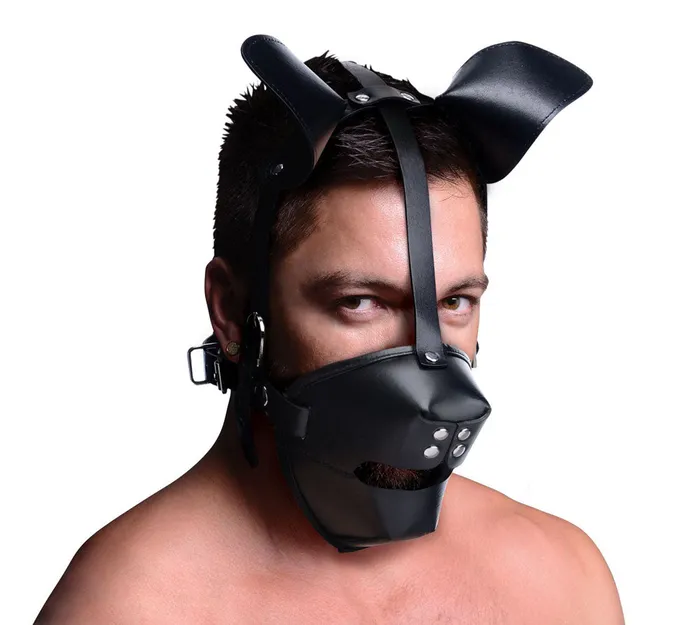 Pup Puppy Play Hood and Breathable Ball Gag XR Brands Master Series Couples