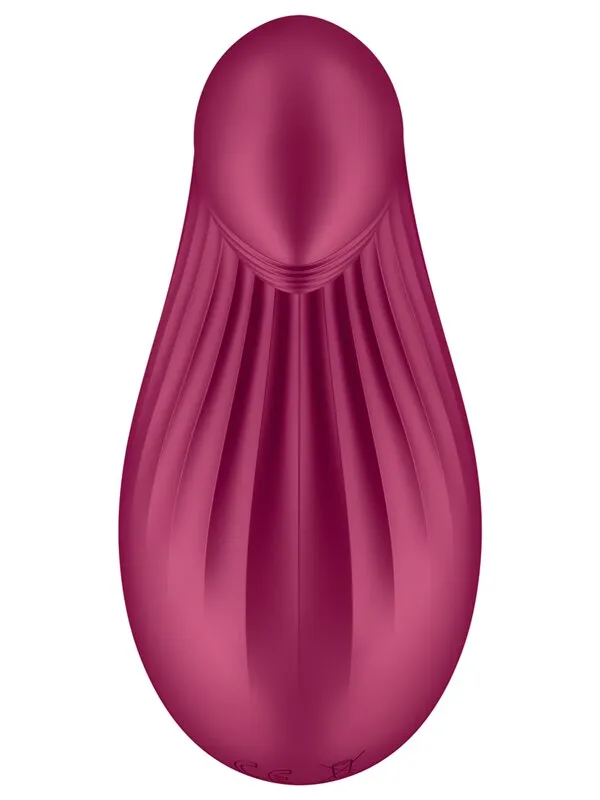 Satisfyer Vibrators Satisfyer Dipping Delight Berry Satisfyer Vibrators Satisfyer Dipping Delight Berry